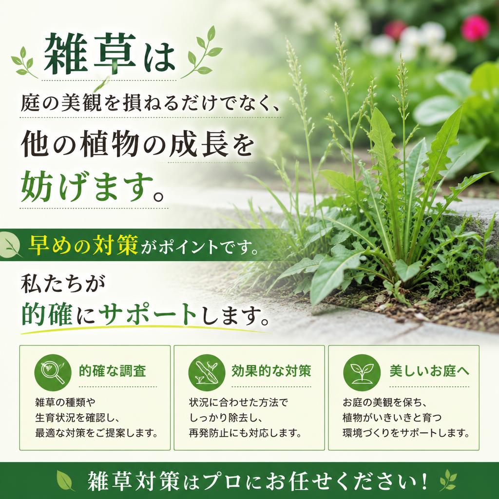 雑草対策の重要性