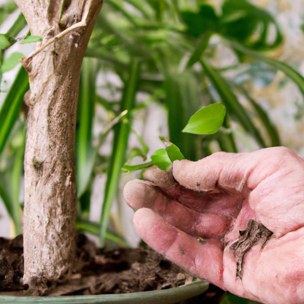 4. 充実した植物管理
