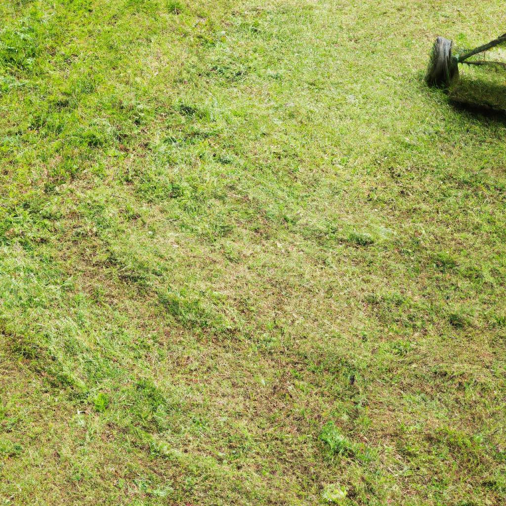 手作業による雑草除去のメリット